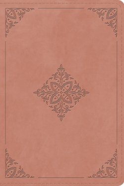 ESV Study Bible, Personal Size (TruTone, Blush Rose, Fleur-de-lis Design)