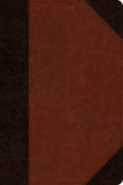 ESV Wide Margin Reference Bible (TruTone, Brown/Cordovan, Portfolio Design)