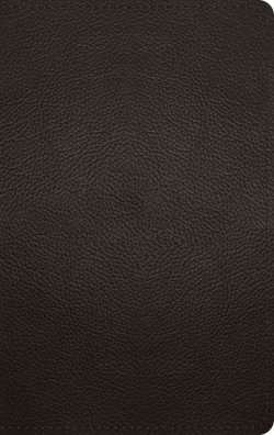 ESV Giant Print Personal Size Bible, Red Letter (Buffalo Leather, Deep Brown)