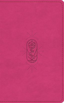 ESV Holy Bible for Kids (TruTone, Berry, The True Vine Design)