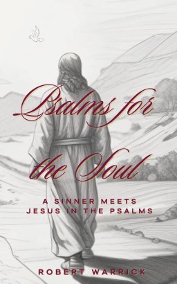 Psalms for the Soul: A Sinner meets Jesus in the Psalms
