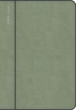 CSB Personal Size Giant Print Bible, Digital Study Ed., Sage