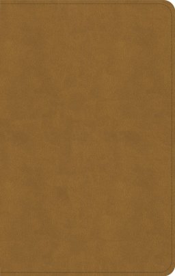 KJV Personal Size Bible, Camel Suedesoft