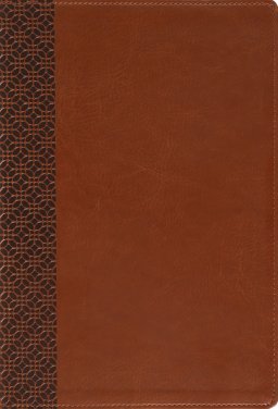 Amplified Holy Bible, Large Print, Leathersoft, Brown