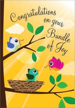 Congrats On Your Bundle Of Joy