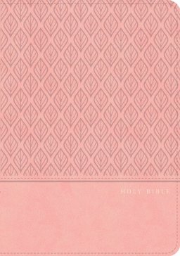 CSB Personal Size Giant Print Bible, Digital Study Ed., Pink