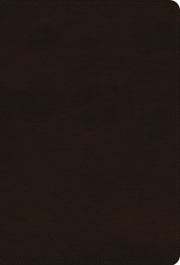 ESV Giant Print Thinline Bible, Red Letter (TruTone, Deep Brown)