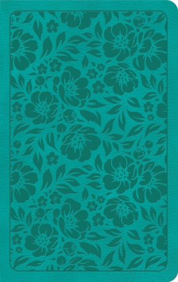 KJV Personal Size Bible, Teal