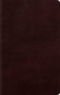 ESV Giant Print Personal Size Bible, Red Letter (TruTone, Mahogany)