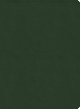 NASB Study Bible, Olive Leathertouch, Indexed