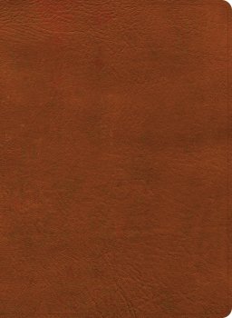 NASB Study Bible, Burnt Sienna Leathertouch, Indexed