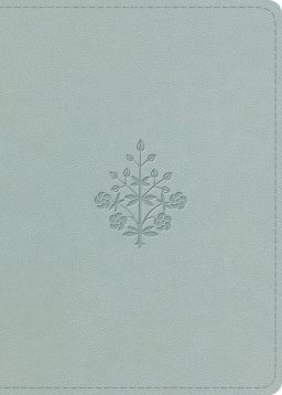 ESV Large Print Value Personal Size Bible (TruTone, Blush Rose, Fleur-de-lis Design)