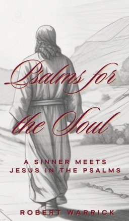 Psalms for the Soul: A Sinner meets Jesus in the Psalms