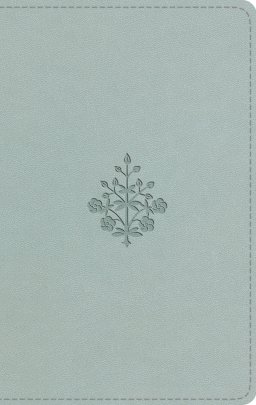ESV Large Print Value Thinline Bible (TruTone, River Stone, Branch Design)
