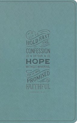 ESV Large Print Value Thinline Bible (TruTone, Paris Sky, Hebrews 10:23 Design)