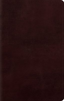 ESV Large Print Personal Size Bible TruTone®, Mahogany