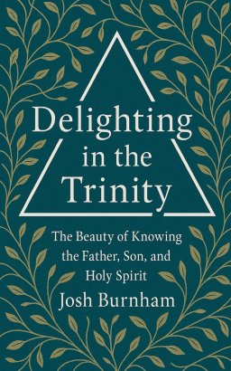 Delighting in the Trinity: The Beauty of Knowing the Father, Son, and Holy Spirit