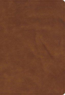 CSB Single-Column Compact Bible, Zipper Closure, Tan