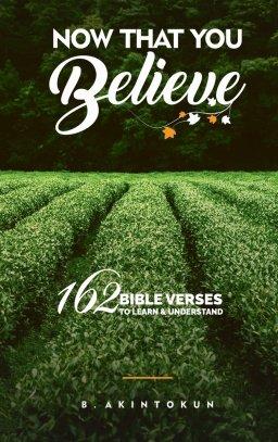 Now That You Believe: 162 Bible Verses To Learn & Understand