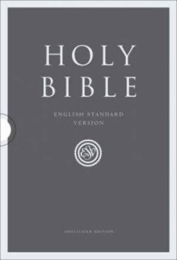 ESV Compact Bible: Two-tone, Imitation Leather, British Text