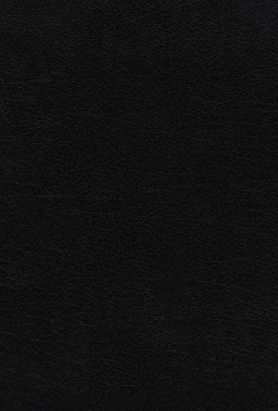 NASB, The Grace and Truth Study Bible (Trustworthy and Practical Insights), Bonded Leather, Black, Red Letter, 1995 Text, Thumb Indexed, Comfort Print