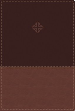 Amplified Study Bible, Imitation Leather, Brown