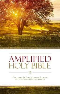 Amplified Holy Bible Hardback Theological Notes Verse Reference Two Column Text Format Bible
