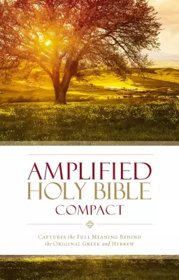 Amplified Bible Compact, Brown, Hardback, Footnotes, Presentation Page, Translation Introduction