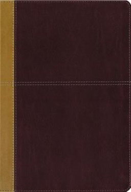 KJV, Amplified, Parallel Bible, Large Print