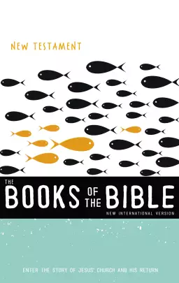 BIBLICA: The Books of the Bible:  New Testament (NIVUS)