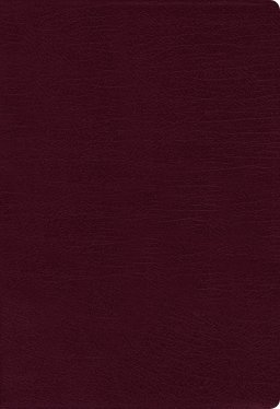 NASB, Thinline Bible, Large Print, Bonded Leather, Burgundy, Red Letter, 1995 Text, Comfort Print
