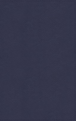 NASB, Thinline Bible, Large Print, Genuine Leather, Buffalo, Blue, Red Letter, 1995 Text, Art Gilded Edges