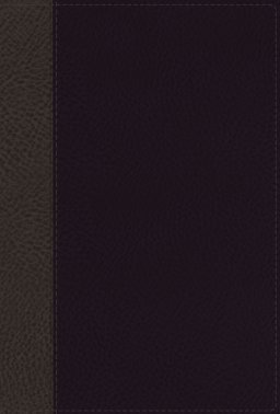 NASB, Classic Reference Bible, Leathersoft, Black, Red Letter, 1995 Text, Thumb Indexed, Comfort Print