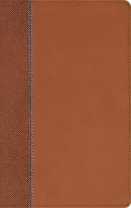 NIV, Quest Study Bible for Teens, Leathersoft, Brown, Comfort Print