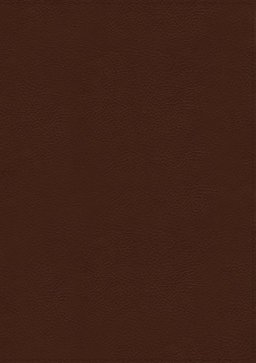 KJV, Thompson Chain-Reference Bible, Genuine Leather, Calfskin, Brown, Red Letter, Thumb Indexed, Comfort Print