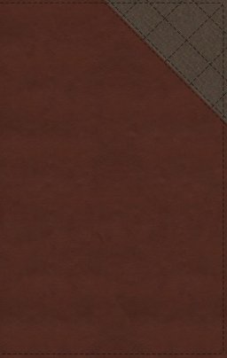 NIV, Thinline Bible, Leathersoft, Brown, Red Letter, Comfort Print