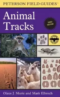 Animal Tracks : Third Edition