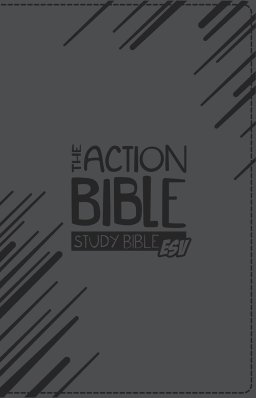 The Action Bible Study Bible ESV, Slate Gray, Premium Imitation Leather, Illustrated
