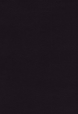 KJV, Verse-by-Verse Reference Bible, Maclaren Series, Leathersoft, Black, Comfort Print