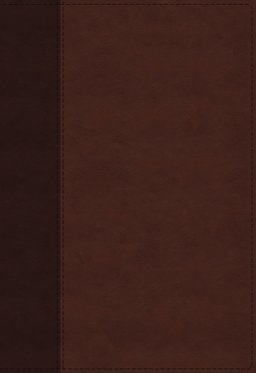 KJV Holy Bible: Large Print Verse-by-Verse with Cross References, Brown Leathersoft, Comfort Print: King James Version (Maclaren Series)
