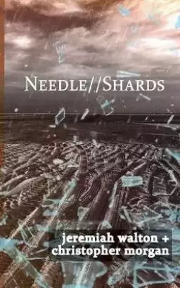 Needle // Shards