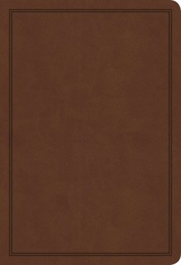 KJV Deluxe Gift Bible, Brown LeatherTouch