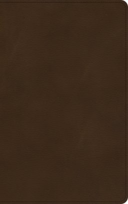KJV Ultrathin Bible, Brown, Imitation Leather