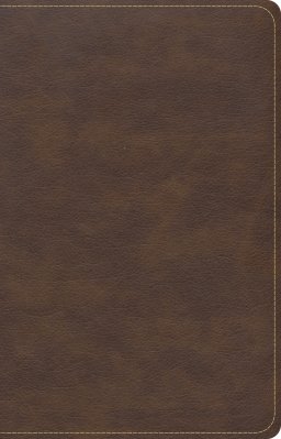 CSB Single-Column Compact Bible, Brown LeatherTouch