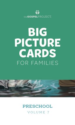 Gospel Project for Preschool: From Heaven to Earth - Preschool Big Picture Cards for Families - Volume 7