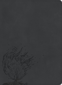 CSB Experiencing God Bible, Charcoal LeatherTouch