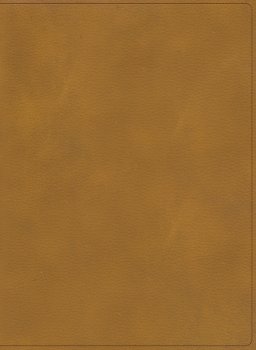 RVR 1960 Biblia ilustrada de la Tierra Santa, café símil piel