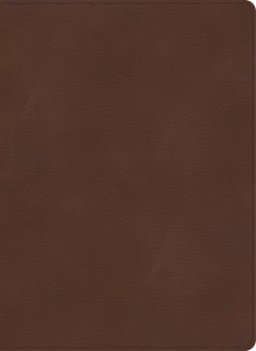 KJV Single-Column Wide-Margin Bible, Brown LeatherTouch
