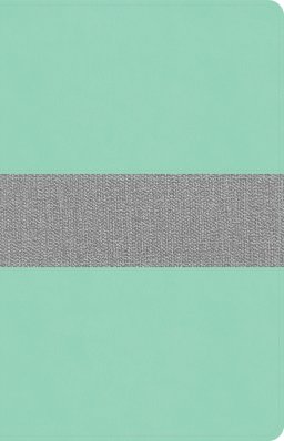 CSB Thinline Reference Bible, Mint/Gray LeatherTouch