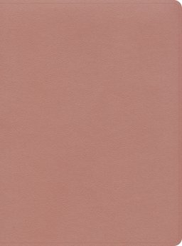 CSB Study Bible, Rose Gold LeatherTouch